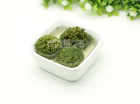 三七花泡水喝放几朵