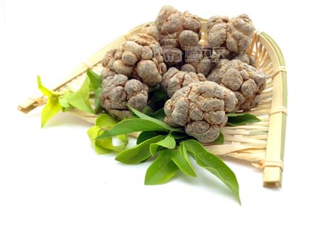 三七能每天吃吗