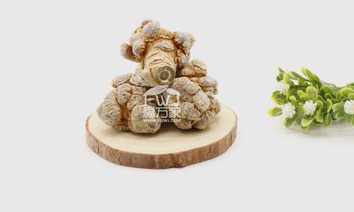 哪种田七功效好 哪种田七功效好