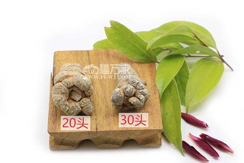 20和30头三七 20和30头三七