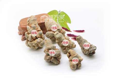 三七买几头的好 三七买几头的好