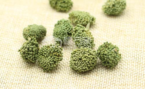 三七花能天天喝 三七花能天天喝