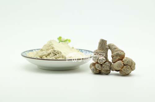 三七粉能经常喝 三七粉能经常喝