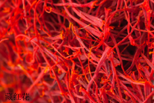 藏红花 藏红花