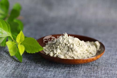 三七粉对人体的好处 三七粉对人体的好处