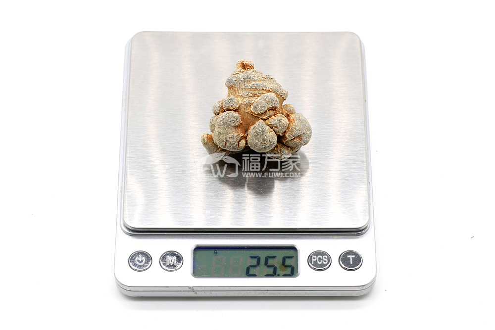 20头足头三七 20头足头三七