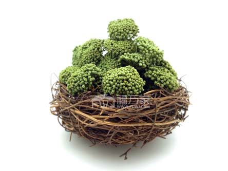 三七花怎么泡 三七花怎么泡