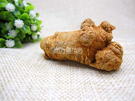 三七来源哪里 三七来源哪里