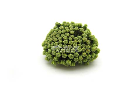 上火适合喝三七花 上火适合喝三七花