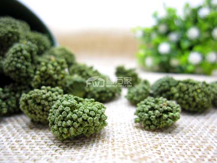 三七花是凉性 三七花是凉性