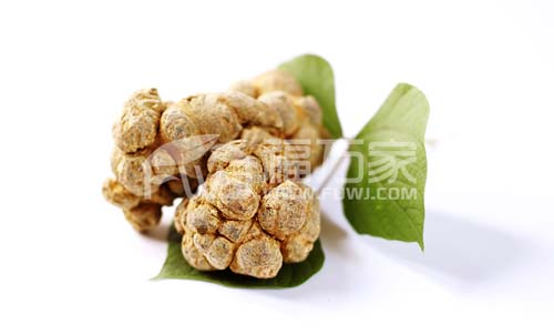 种植三七哪里的好 种植三七哪里的好