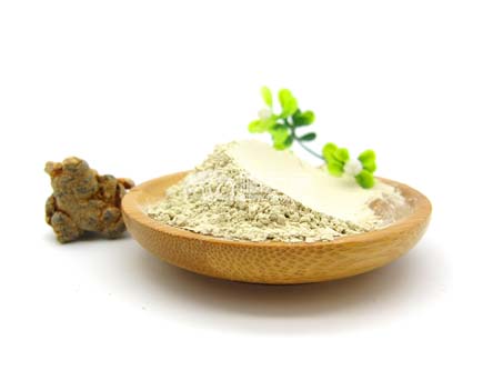 三七粉补血的功效好 三七粉补血的功效好