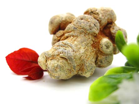 三七的活血效果比红花的好 三七的活血效果比红花的好