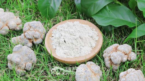 牛奶能与三七粉一起喝 牛奶能与三七粉一起喝