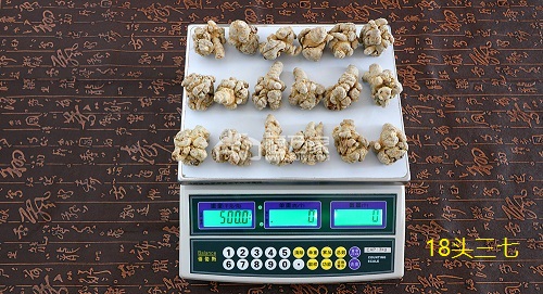 三七多少头好 三七多少头好