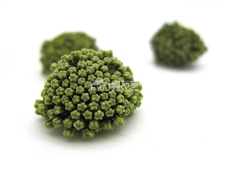 好的三七花什么样 好的三七花什么样