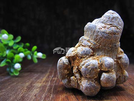 三七选什么牌子好