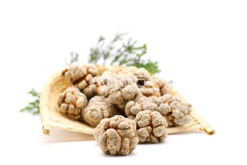 三七就是田七 三七就是田七