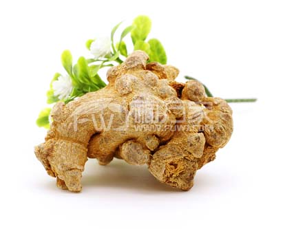 三七种植量大不大 三七种植量大不大