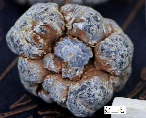 好的不打蜡三七 好的不打蜡三七