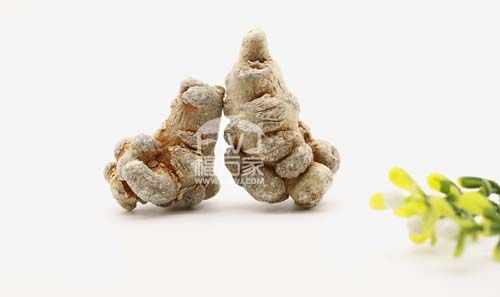 三七哪种好 三七哪种好