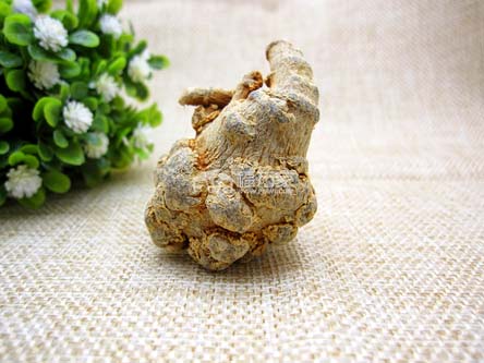 云南文山产的春三七 云南文山产的春三七