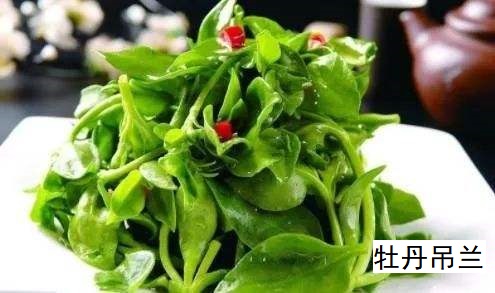 三七菜是牡丹吊兰 三七菜是牡丹吊兰