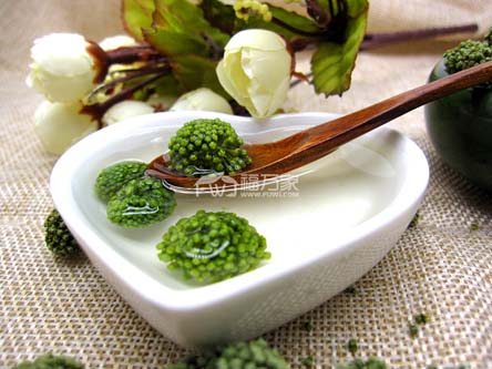 三七花冲泡方法 三七花冲泡方法