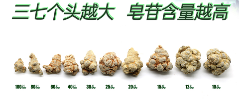 三七的价格与什么有关