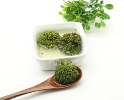 三七花与桑葚一起喝