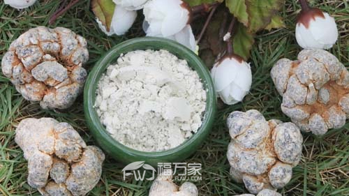 哪里的三七好 哪里的三七好