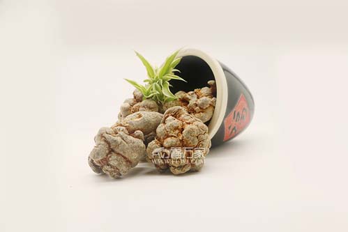 文山三七滞销吗 文山三七滞销吗