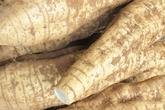 葛根比三七粉好吗 葛根比三七粉好吗