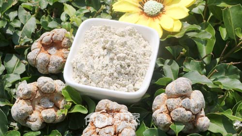 小孩能吃三七粉吗 小孩能吃三七粉吗