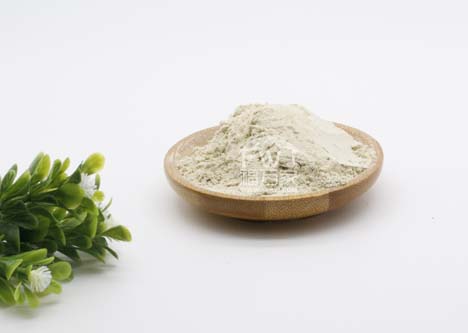 三七粉与奶粉同吃 三七粉与奶粉同吃