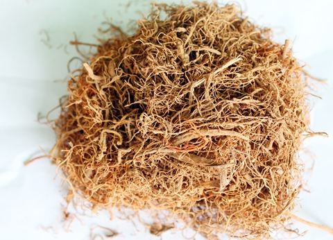 三七根是什么样 三七根是什么样