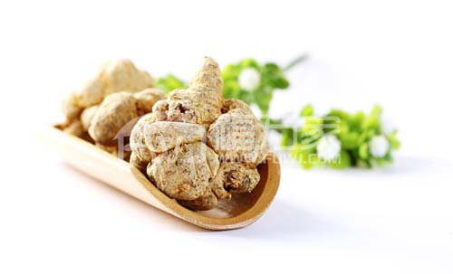 三七能榨汁喝吗