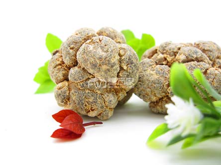 三七哪种好 三七哪种好