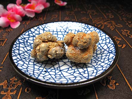 三七能炖肉吃 三七能炖肉吃