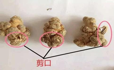好的三七不带剪口