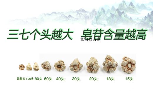 三七的头数选择