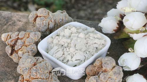 三七粉正确用量 三七粉正确用量