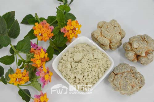 三七粉怎么买好的