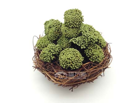 三七花大朵的好 三七花大朵的好