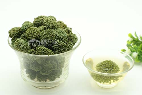 好的三七花 好的三七花