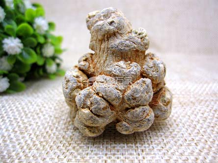 8头三七好吗 8头三七好吗