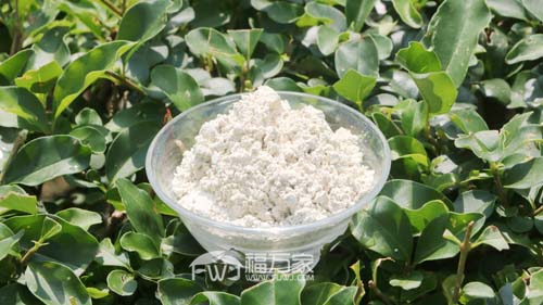 三七粉怎么选 三七粉怎么选