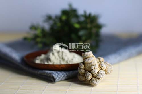 春三七比冬三七好