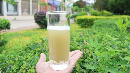 三七粉能补血 三七粉能补血