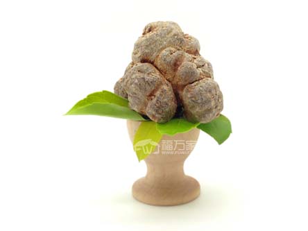 种三七的地要休养